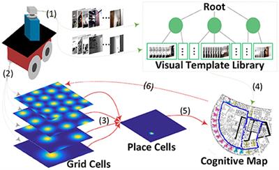 Multi-Scale Extension in an Entorhinal-Hippocampal Model for Cognitive Map Building